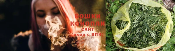 ГАЛЛЮЦИНОГЕННЫЕ ГРИБЫ Надым