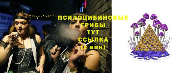 молекула духа Навашино